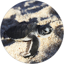 Hani Mohamed profile picture